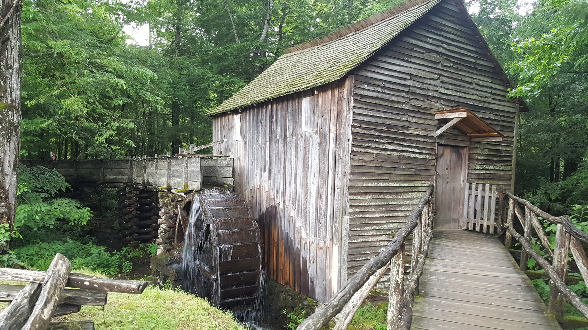 The Mill in Cades Cove: Great Smoky Mountains National Park in the Spring