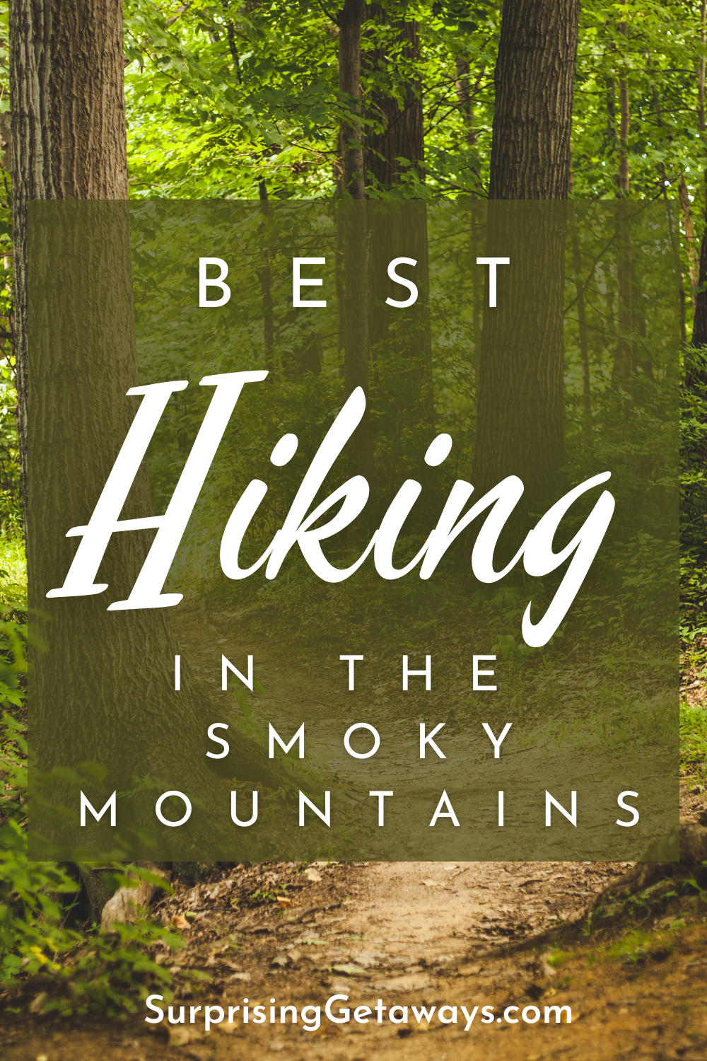 11 Best Hiking Trails in the Smoky Mountains
