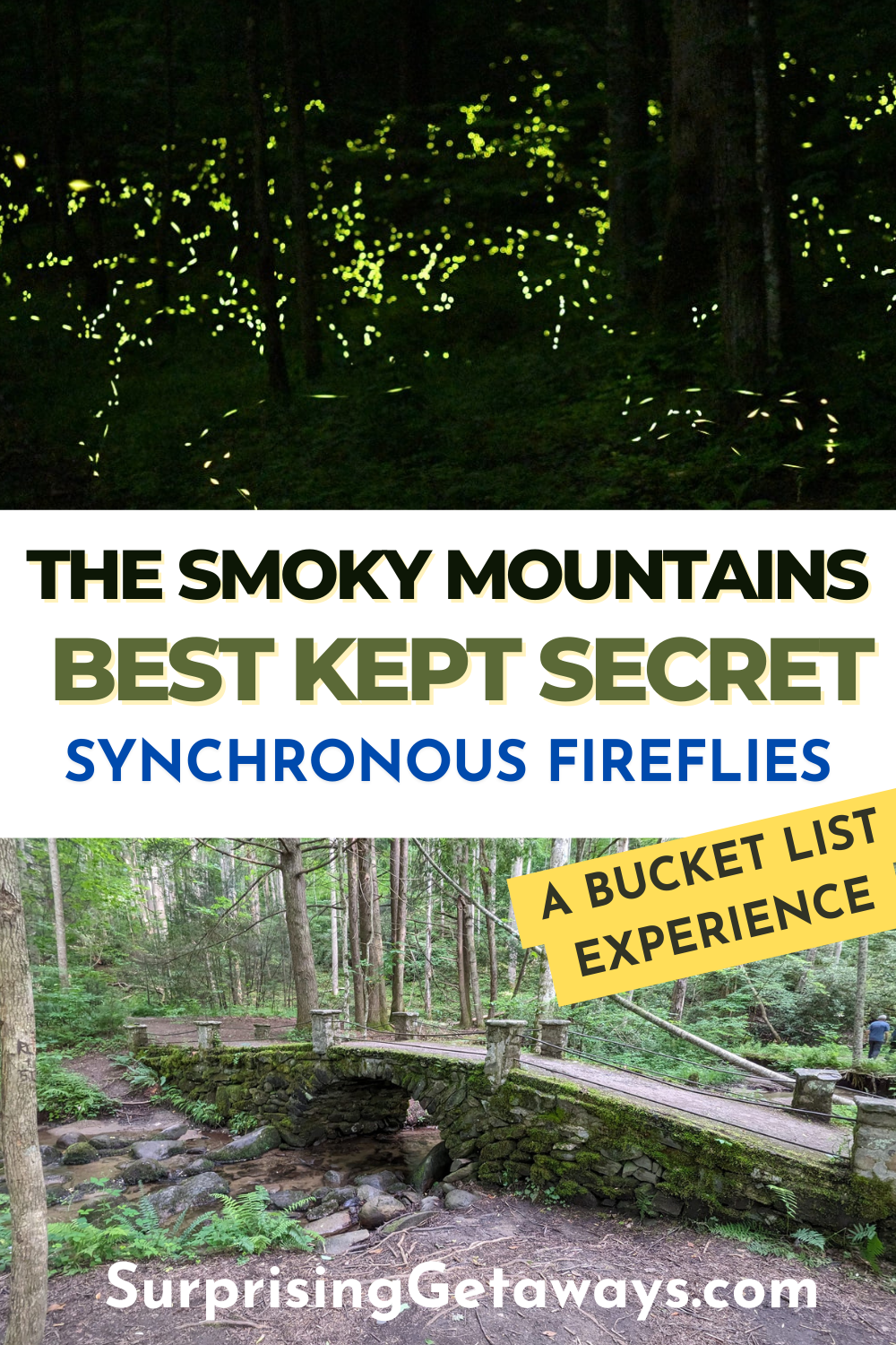 How to See Synchronous Fireflies in the Smoky Mountains