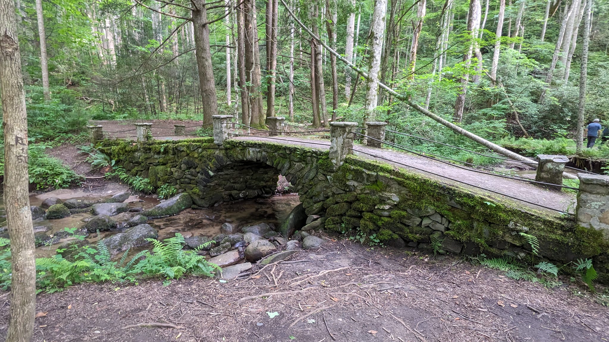 The Troll Bridge at Elkmont Campground in the Great Smoky Mountain National Park: The Best Spot for Firefly Viewing