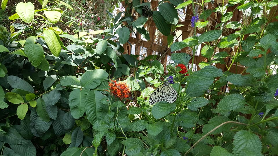 Reiman Gardens in Ames, Iowa