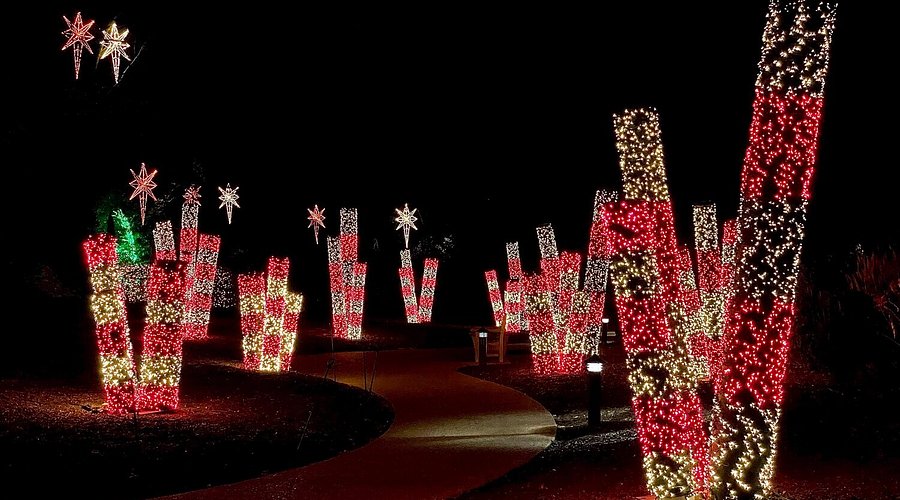 14 Best Christmas Traditions in Nashville