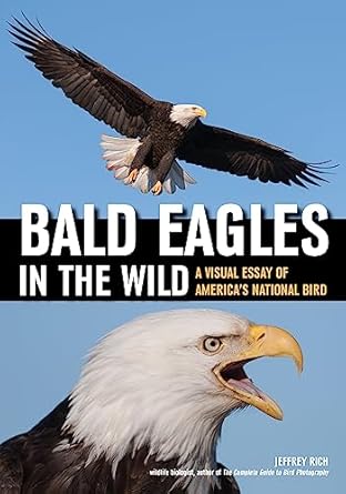 Bald Eagles In The Wild: A Visual Essay of America's National Bird