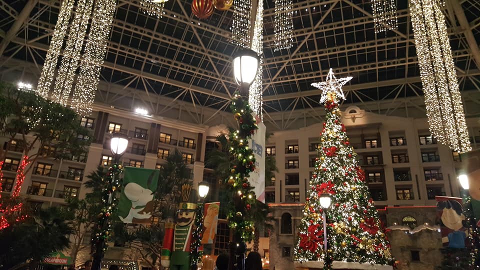 Gaylord ICE!