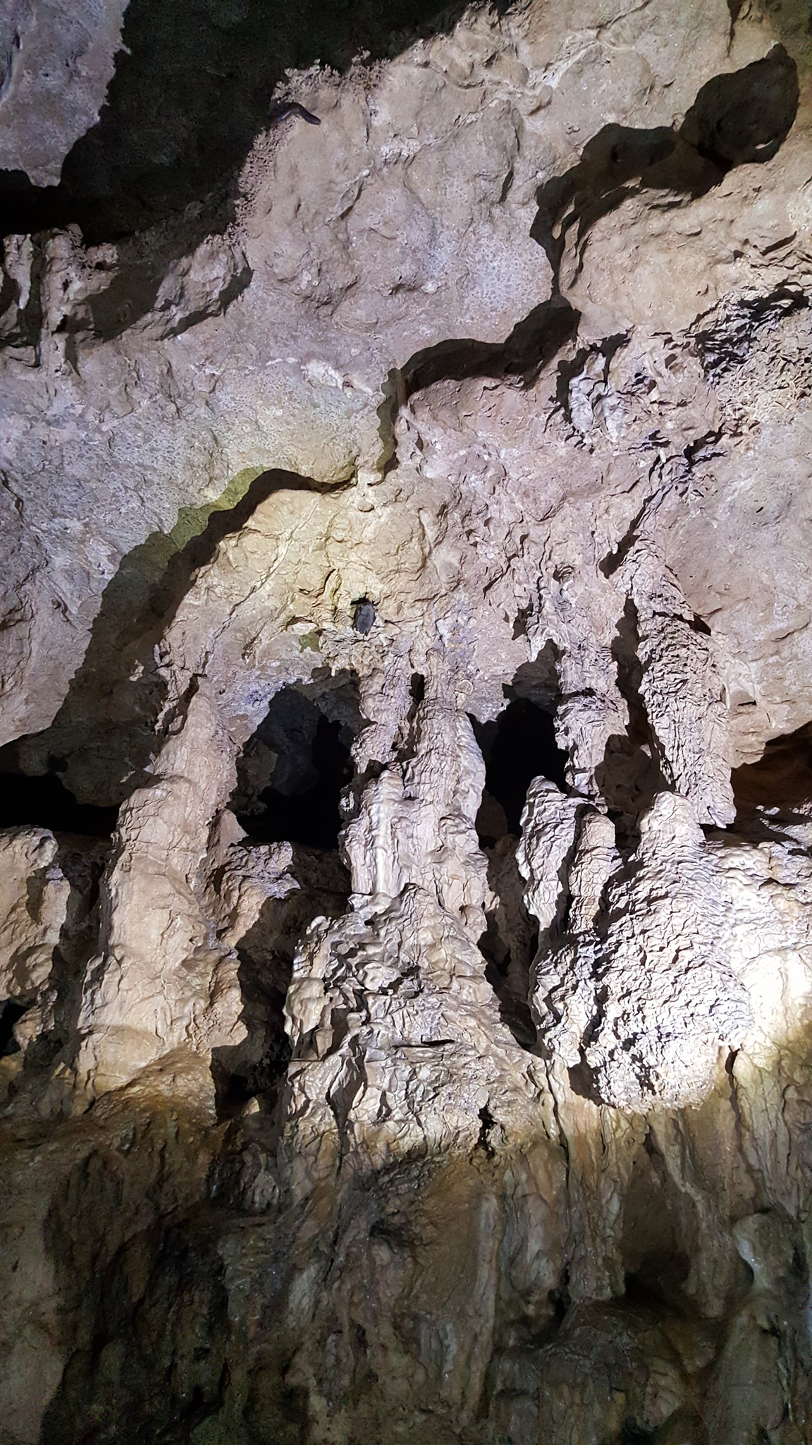 Cave on the Current River