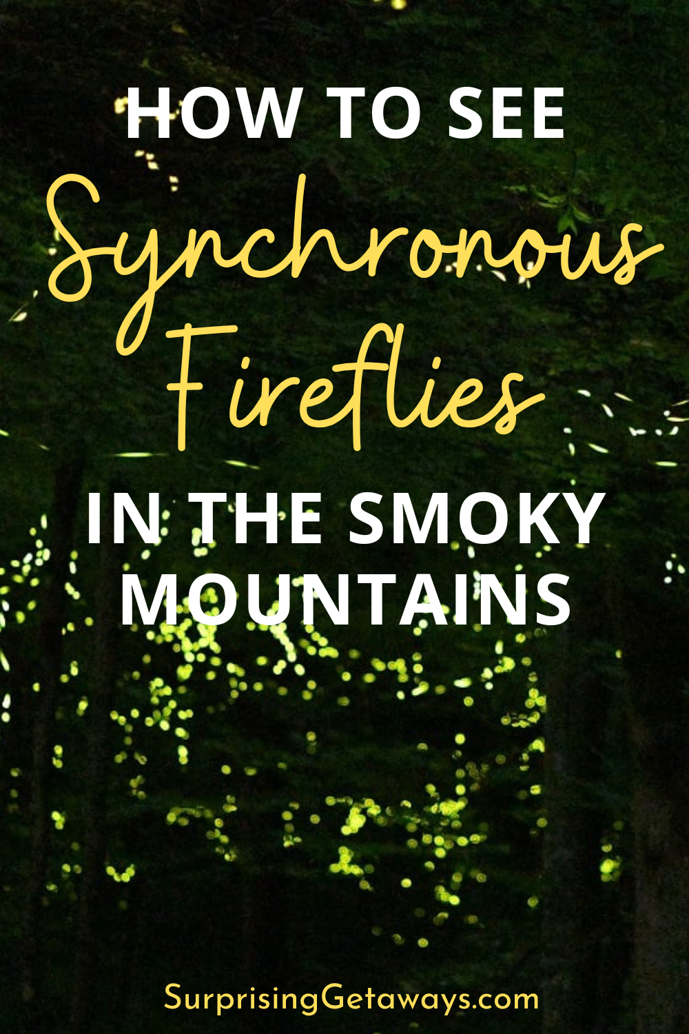 How to See Synchronous Fireflies in the Smoky Mountains