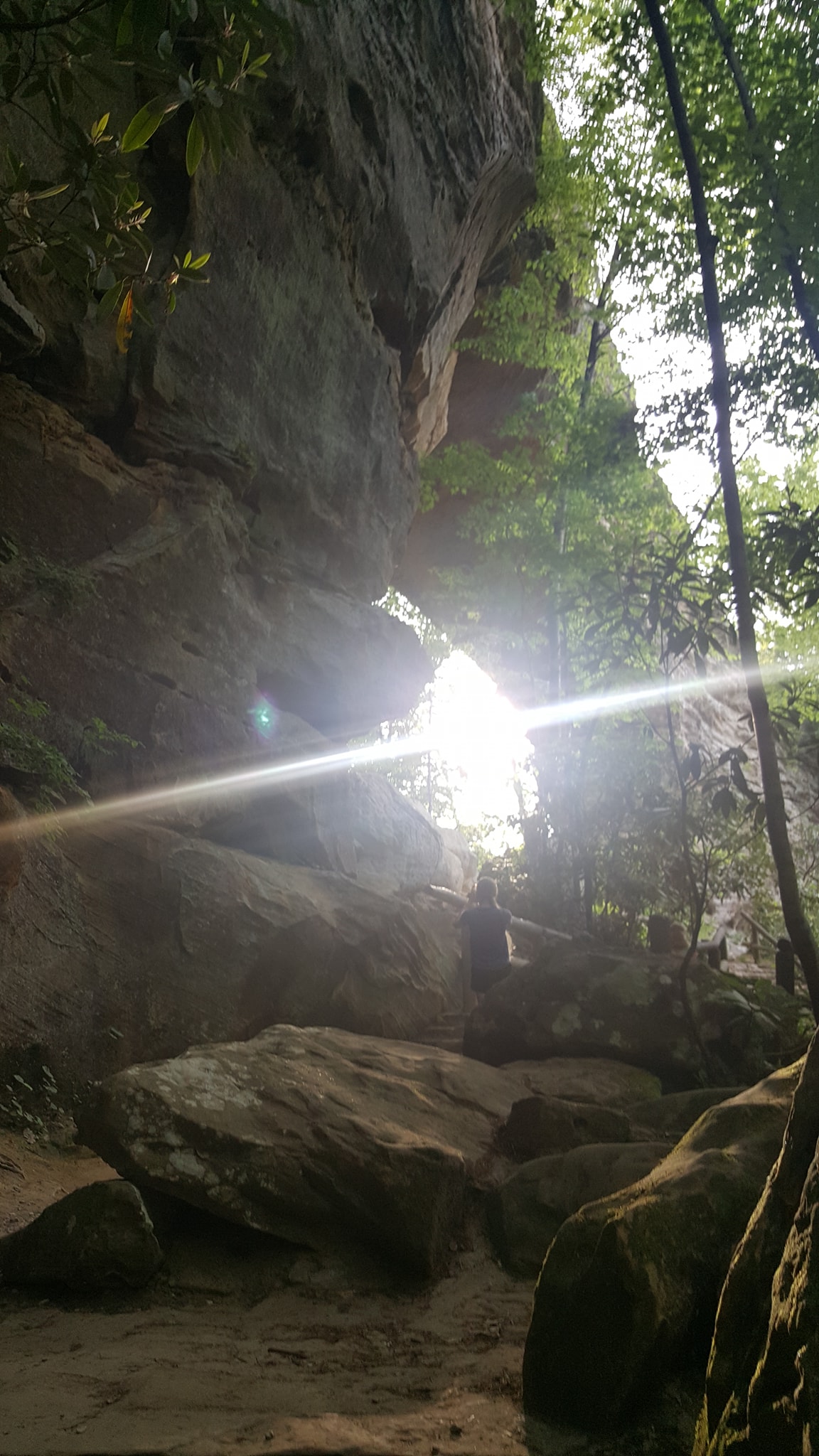 Kentucky's Natural Bridge State Park