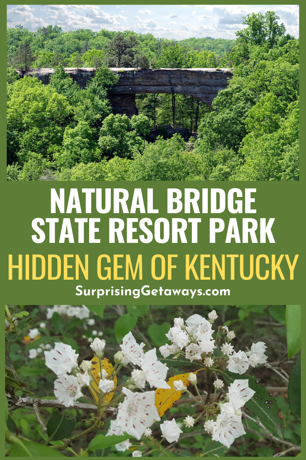 Natural Bridge State Resort Park: Hidden Gem of Kentucky