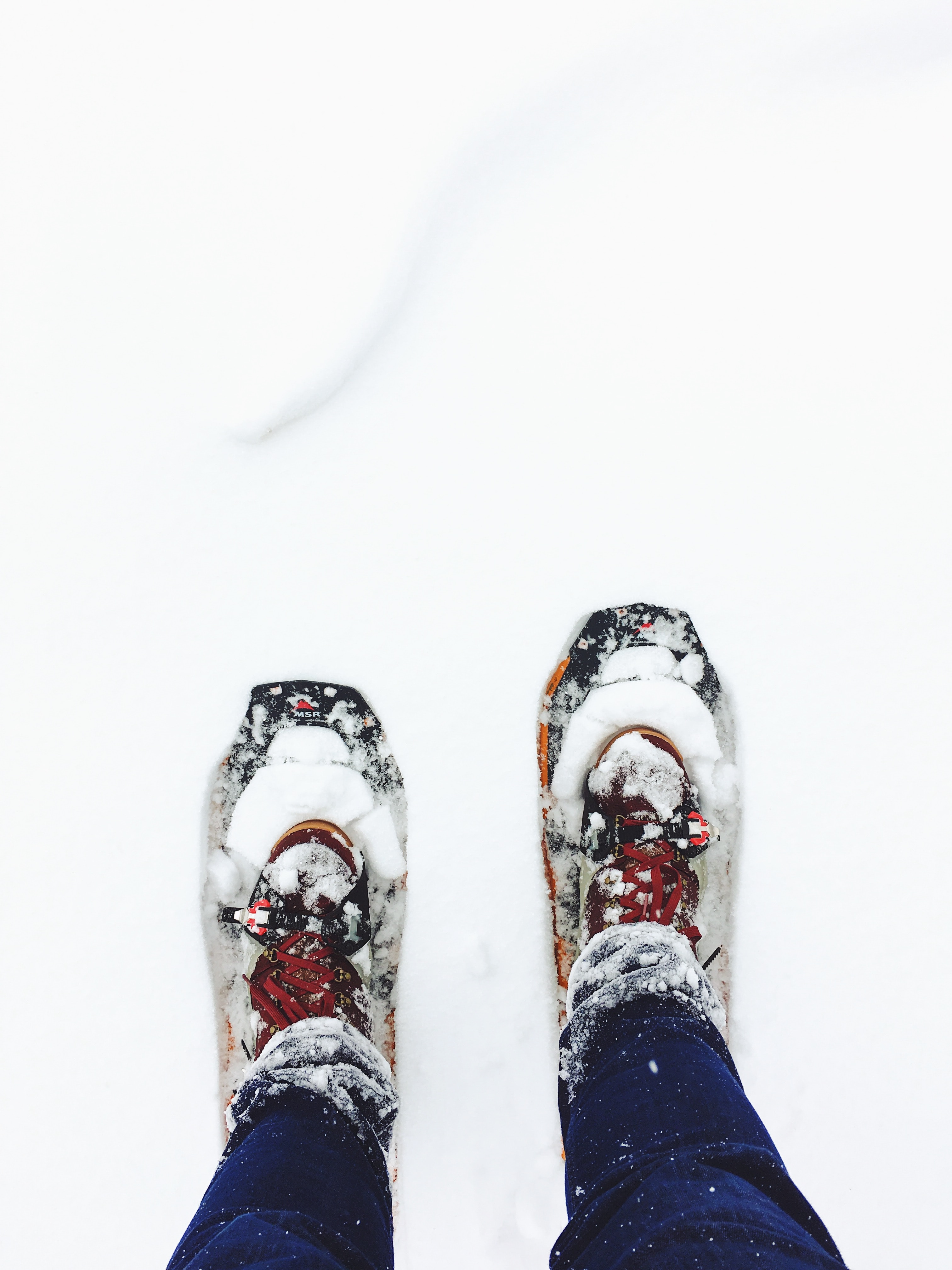 Snowshoes