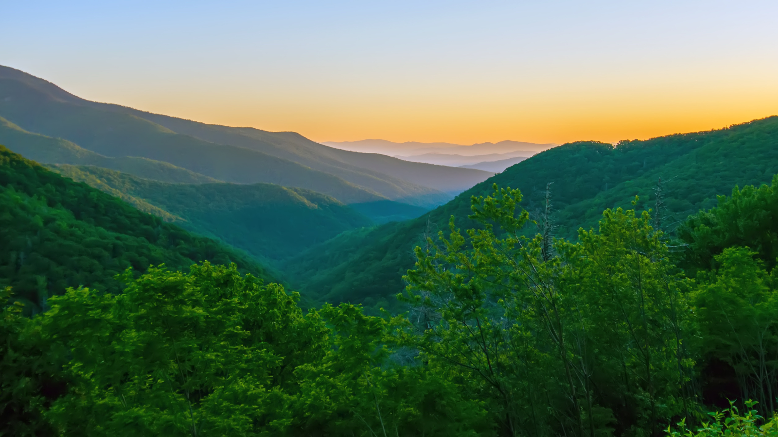 Best Sunrise & Sunset Views in the Smokies – A Complete Guide ✨ Want to experience magical golden hours in the Great Smoky Mountains? This guide covers the top viewpoints for sunrise and sunset, plus tips for the best experience! #SmokyMountains #TravelGuide