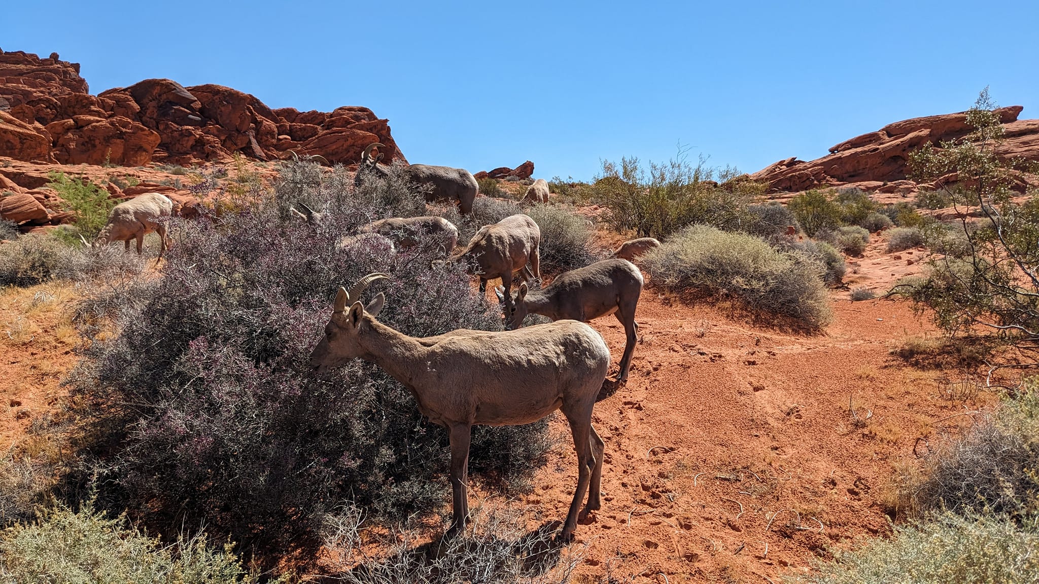 Valley of Fire State Park