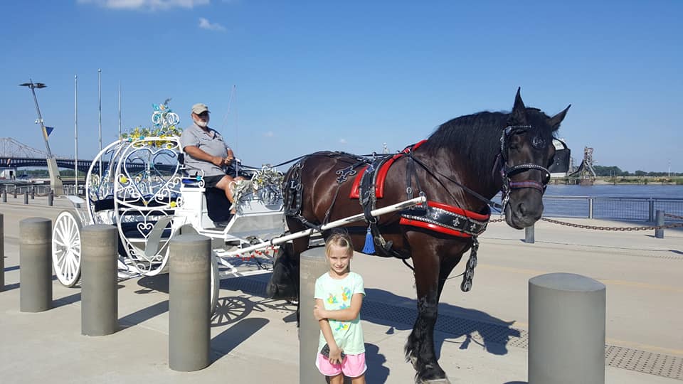 Horse-Drawn Carriage Ride in St. Louis